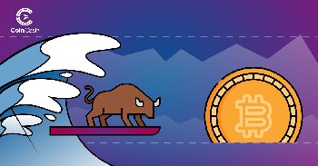 Bitcoin Hodler hírek - 3. hét